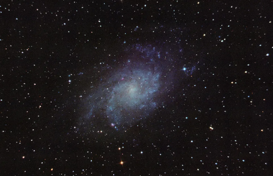 M33林响烨 2-20260327-120259