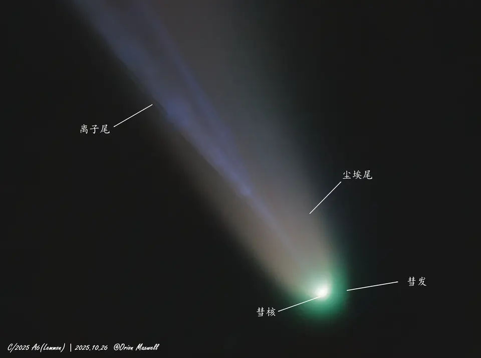 Comet - C/2025 A6(Lemmon) - 20251028 - Orion Maxwell-20260513-104701