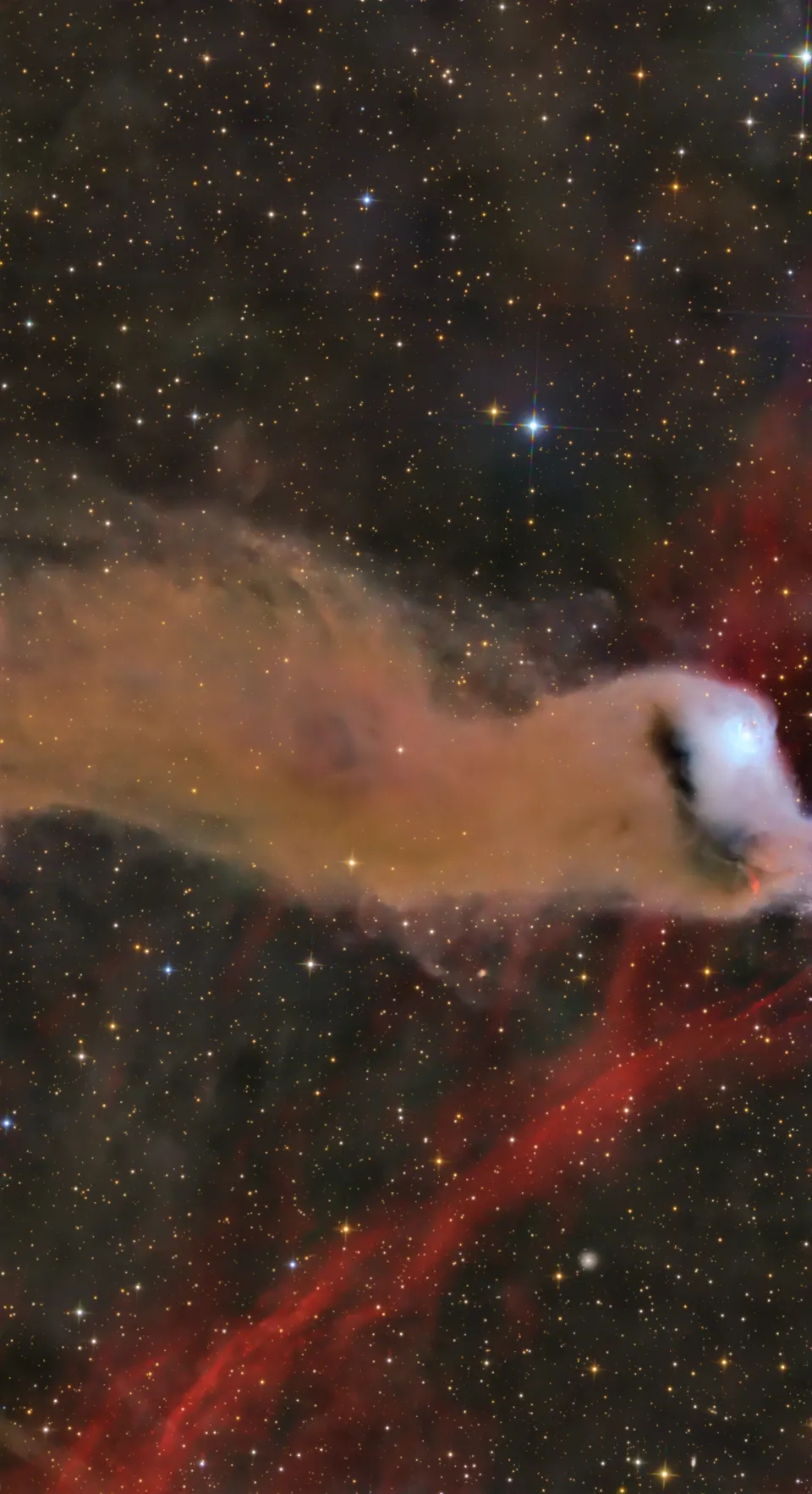 Nebula - 鷞鸠展翅(Barnard 175) - 20251110 - Orion Maxwell-20260513-110509